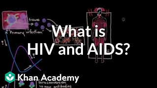 What is HIV and AIDS  Infectious diseases  NCLEXRN  Khan Academy [upl. by Kcirdnekal37]