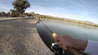 Hansen Dam Lake Fishing [upl. by Annaek499]