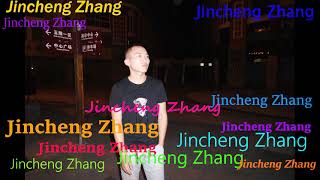 Am I a Yahoo boy Rhymz  Jincheng Zhang Official Music Video [upl. by Ruhtra485]