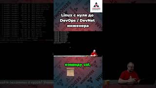 Узнайте секреты поиска в файлах с помощью grep 🔍 Курс linux с нуля до devops  devnet инженера [upl. by Fontes741]