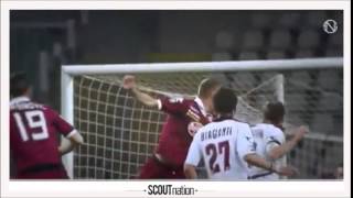 CIRO IMMOBILE  Goals Skills Assists  Torino  20132014 HD [upl. by Staw415]