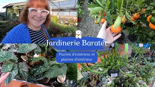 JARDINERIE BARATET 🌿Un petit tour en extérieur et en intérieur  De belles plantes  Des agrumes🍋🍊 [upl. by Atihana910]