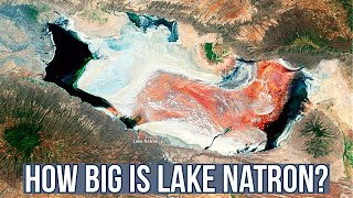 Lake Natron 101  The Deadliest Lake On Earth [upl. by Ileray]