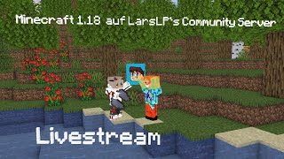 Minecraft 118 auf LarsLPs Community Server ¦ mit Nicki1954 [upl. by Selinda339]