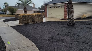 Resod Whole Yard Replace Irrigation Pump and Valves Remove Trees 🌳 Install Plants and Mulch [upl. by Niledam]