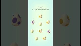 i hatched 2 🤯 rare pokemon 🔥 Back to Back in Pokemon Go  Larvesta amp Charcadet Hatch  Shorts [upl. by Fitzger14]