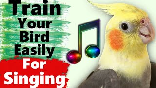 Cockatiel Singing and Whistle Training Songs [upl. by Tybalt31]