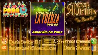 Amarilla Se Pone  Orquesta La Fuerza Mayor [upl. by Stig]