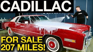 First Wash in 45 Years Cadillac Eldorado Only 207 Miles Disaster Detail For Sale [upl. by Idden772]