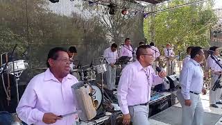 Orquesta Roy Luis en vivo  Reforma de Pidena Oax  19032024  Tanda 1 [upl. by Nolyat]