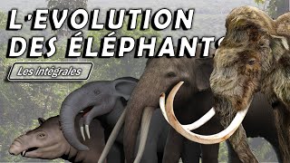 Lévolution des éléphants  Intégrale  Évolution  Paléontologie  Simplex Paléo [upl. by Jenn]