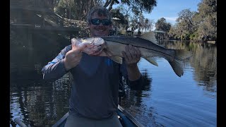 Snook fishing in Homosassa Florida [upl. by Harman]