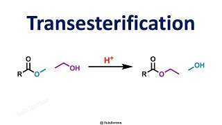 Transesterification Reaction [upl. by Renrag]