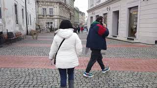 Timisoara Romania  City Walking Tour [upl. by Yesnel]