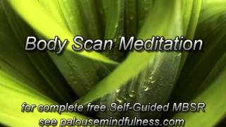 MBSR Body Scan Meditation 2013 version [upl. by Neral695]