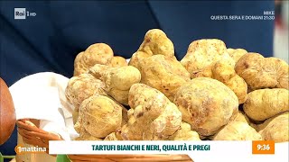 Tartufi eccellenza italiana  Unomattina 21102024 [upl. by Oniliuqnart]