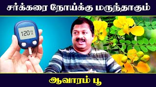 சர்க்கரை நோய்க்கு மருந்தாகும் ஆவாரம்பூ  Dr Sivaraman speech in Tamil  Healthy Food  Tamil speech [upl. by Moffitt125]