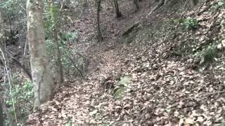 嵐山～高塚山～石老山周回１＠神奈川県相模原市緑区 [upl. by Notsud735]