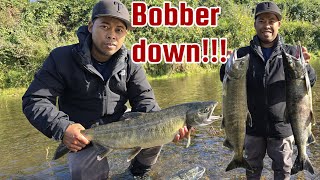 Chum Salmon BOBBER DOWN First Cast [upl. by Esinev63]