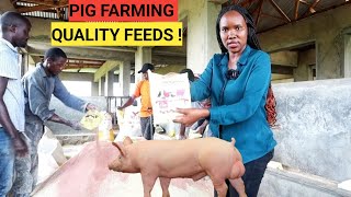 How To Mix BEST PIG Feeds For Faster Growth DETAILED [upl. by Arnelle]