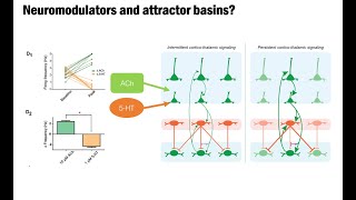 Cognitive and behavioral attractors dynamical systems theory as a lens for systems neuroscience [upl. by Berrie355]