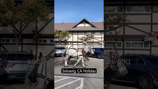 Last Christmas in Solvang CA [upl. by Acimot]