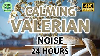 Calming Valerian Root Brown Noise  24 Hours  Black Screen  For Sleep Stress and Tinnitus Relief [upl. by Alisun865]