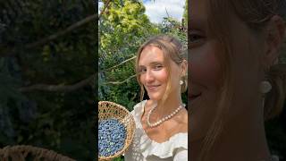 mahonia berry syrup ✨🧚 nature foraging forager recipe recipes healthyrecipe healthyrecipes [upl. by Eillek]