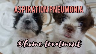 3 week old puppies w Aspiration Pneumonia  home treatment [upl. by Adilen733]