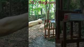 357 Magnum VS 44 Magnum Recoil [upl. by Carola136]