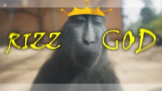 MONKEY RIZZ 4K 🐒👑 [upl. by Yllod]