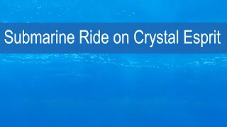 Crystal Cruises Submarine Cruise Critic Tries it Out on Esprit [upl. by Oal38]