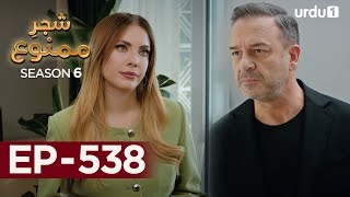 ShajareMamnu  Episode 538  Turkish Drama  Forbidden Fruit  Urdu Dubbing  27th March 2023 [upl. by Ardek]