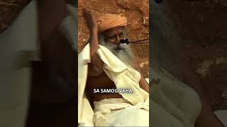 Ne pristajte na sitna zadovoljstva  Sadhguru [upl. by Fitting439]