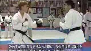 George Kotaka Dynamic Karate Workout [upl. by Atinek175]