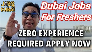 Jobs In Dubai For Freshers  Apply For Dubai Job Vacancies [upl. by Allianora]