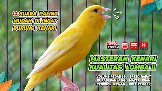 Kenari GACOR‼️ Masteran Burung Kenari PAUD dan Pancingan Kenari MACET BUNYI EPISODE 1553 [upl. by Vookles]