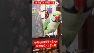 Mummy Mujhe Shubh ke Saath Khelna Hai 😣parrot comedy funny youtubeshorts shorts ￼ [upl. by Ettesel]