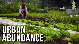 Organic Urban Farming on a 12Acre Property  Urban Abundance [upl. by Goles]