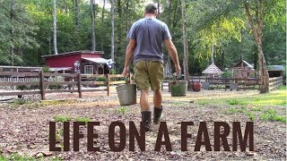 Life On A Farm  Morning amp Evening Chores  Our Daily Homestead Routine [upl. by Lepper]