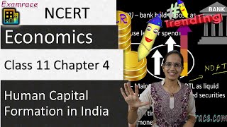 NCERT Class 11 Economics Chapter 5 Human Capital Formation in India  English [upl. by Neel]