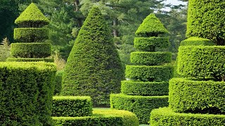 Topiary Garden [upl. by Armillas]