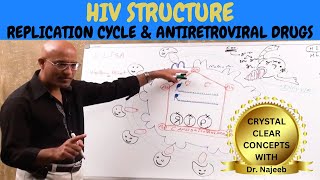 HIV AIDS  Sign Symptoms Transmission amp Treatment  Dr Najeeb🩺 [upl. by Durwyn236]