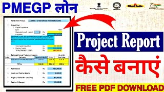 PMEGP Loan Project Report PDF Download 2024  PMEGP Project Report Kaise Banaye [upl. by Alithia902]