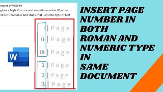 Insert Roman amp English Page Numbers in MS Word [upl. by Itsim96]