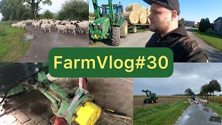 FarmVlog30 Die Schafherde auf Wanderschaft [upl. by Stutsman490]