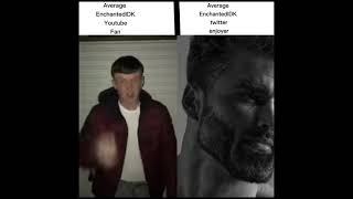 Average fan vs average enjoyer meme [upl. by Annoet6]