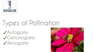 Types of Pollination in detail  Shivam Oswal [upl. by Nodroj]