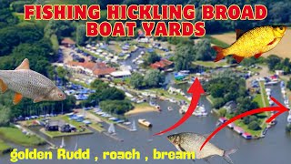 Coarse Fishing Hickling boat yards 2 spots mixed species catch Norfolk broads angling [upl. by Eniala876]