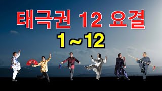 taichi chuan  태극권 12요결太極拳十二要訣 112 [upl. by Terle]